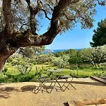 Esden & Adjoined Outbuilding - Sea View, Swimming Pool, Air Conditioning, Absolute Calm, 5000 M2 Land La Ciotat